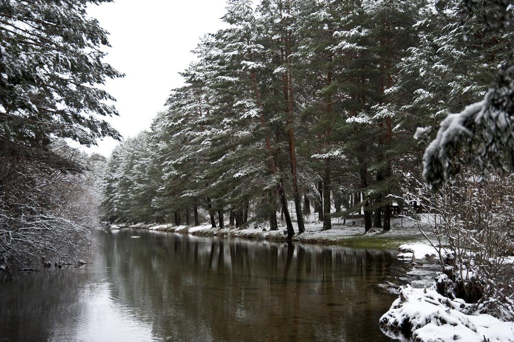 Casa Rural La Vereilla Barajas de Gredos Zewnętrze zdjęcie