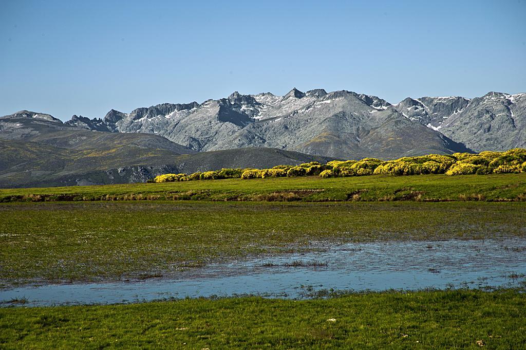 Casa Rural La Vereilla Barajas de Gredos Zewnętrze zdjęcie